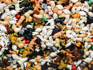 Die Allianz Versicherungs-AG hat ihr Angebot in der Tierkrankenversicherung grundlegend überarbeitet (Symbolbild).