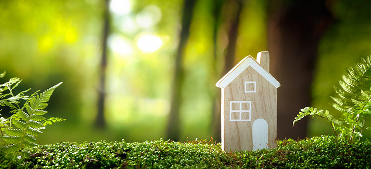Nachhaltige Wohngebäudeversicherung erobert den Markt