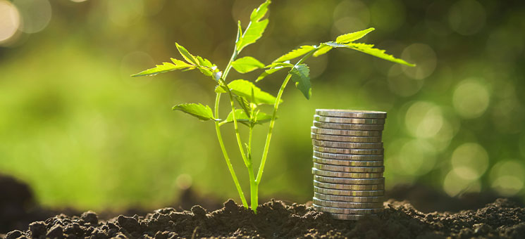 Neue nachhaltige Geldanlagekonzepte der BfV Bank für Vermögen AG