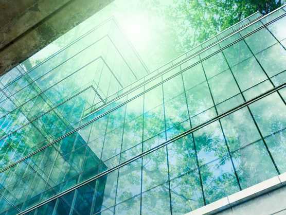 Bäume spiegeln sich in Glasfassade von Bürogebäude