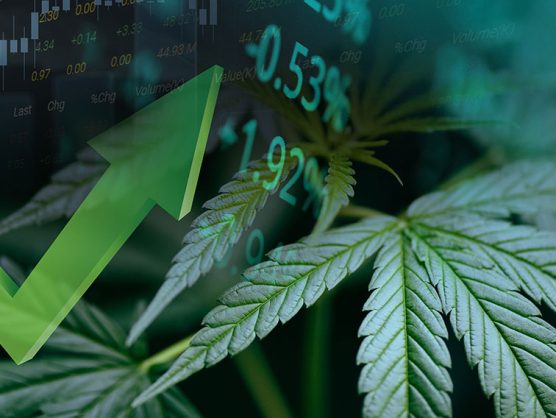 Positiver Pfeil neben Börsenkursen und Cannabis-Pflanze