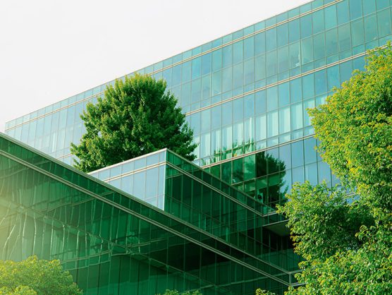 Bäume umgeben Bürogebäude