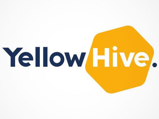 Yellow Hive