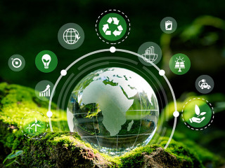 Crystal globe putting on moss with environment Icons.