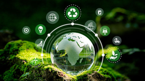 Crystal globe putting on moss with environment Icons.