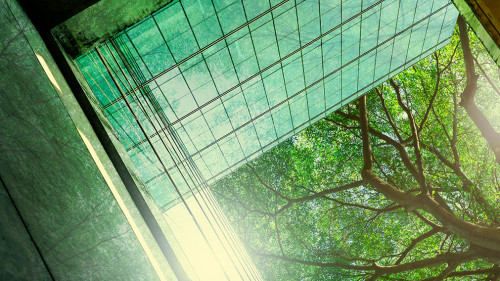 Sustainble green building. Eco-friendly building in modern city.