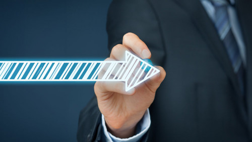 Influencer and opinion leader