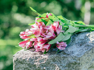 Headstone in Cemetery
