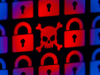 Skull and bone as a symbol of hacking programs or personal infor