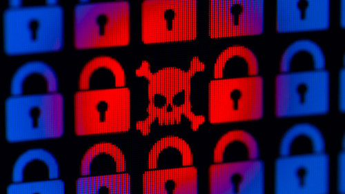 Skull and bone as a symbol of hacking programs or personal infor