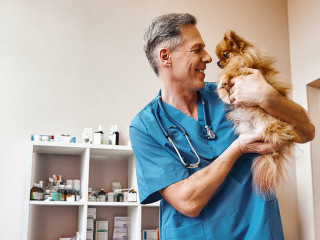 My best part of work! Middle aged positive vet in work uniform talking with small ginger dog while standing at veterinary clinic