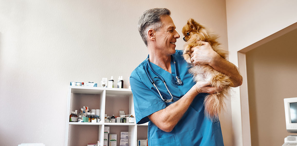 My best part of work! Middle aged positive vet in work uniform talking with small ginger dog while standing at veterinary clinic