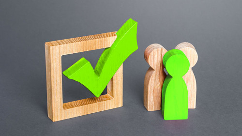 People are standing next to green check mark. Run for election. Voting on democratic election or referendum. Political campaign. Public poll. Legislative Initiative. Lobbying interests. Resolution.