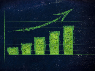 the rise of green economy