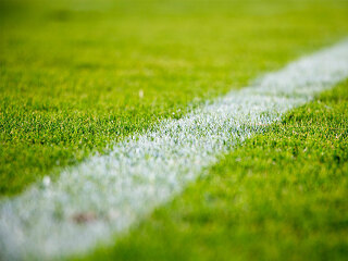 Rasen-2616911-PB-StockSnap