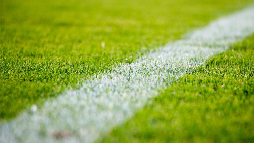 Rasen-2616911-PB-StockSnap