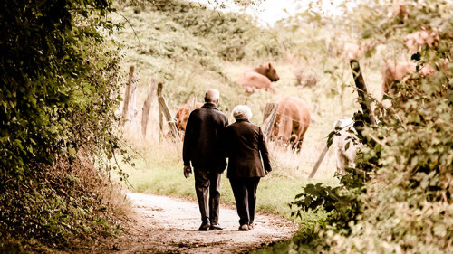 Senioren-Paar-2914879-PB-PICNIC-Fotografie