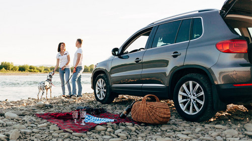 Paar-Hund-Auto-192164268-FO-lightven