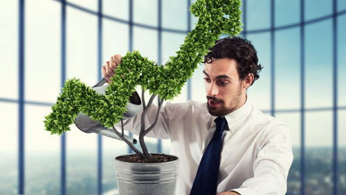 Anzugtraeger-gießt-Pfeil-Pflanze-140401299-FO-alphaspirit