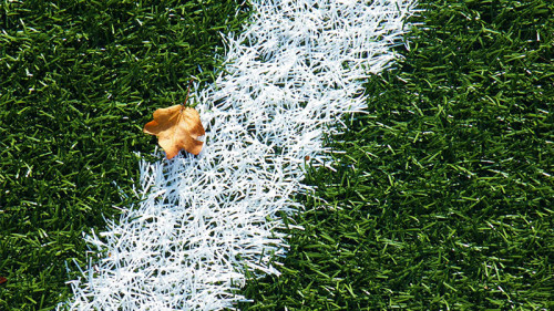 Kunstrasen-2658661-PB-tdahl