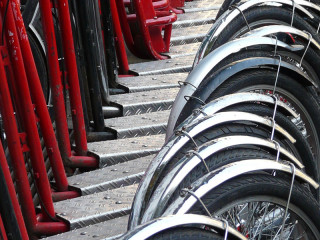 Roller-62489-PB-Hans