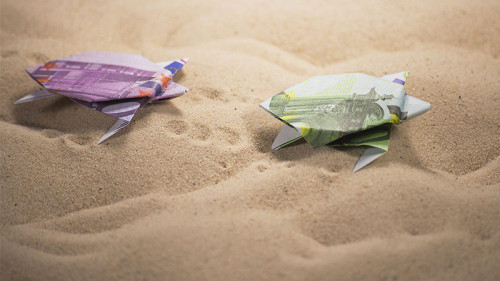 Geldschein-Schildkroeten-141377020-FO-butenkow