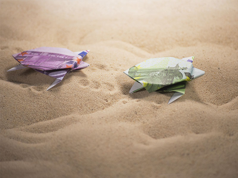 Geldschein-Schildkroeten-141377020-FO-butenkow
