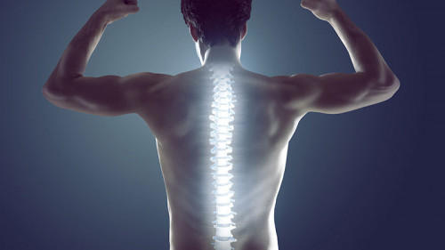 Mann-Wirbelsaeule-133639400-FO-lassedesignen