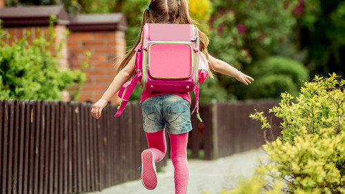 Schuelerin-97503606-FO-tan4ikk