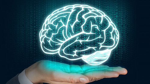 Hand-Binaer-Code-Gehirn-97178064-FO-llhedgehogll