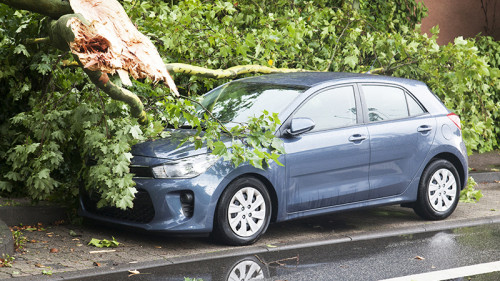 Baum-auf-Auto-168477680-FO-akf