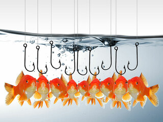 Fische-Haken-38355335-FO-WunderBild