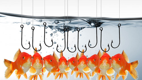 Fische-Haken-38355335-FO-WunderBild