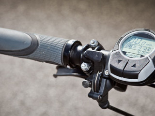 Fahhrad-39788102-FO-ferkelraggae