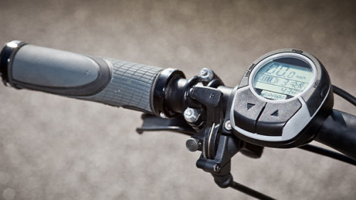 Fahhrad-39788102-FO-ferkelraggae