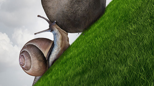 Schnecke-92847963-FO-freshidea