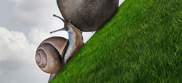 Schnecke-92847963-FO-freshidea