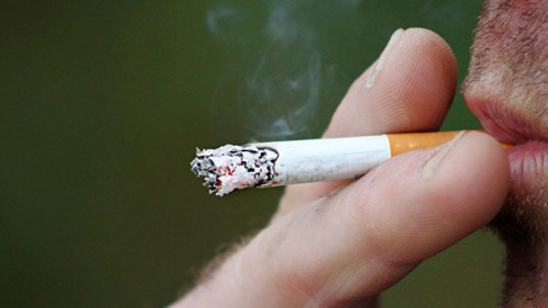 Raucher-397599-PB-cherylholt