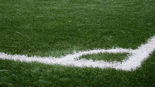 Fußball-Rasen-1859046-PB-3844328