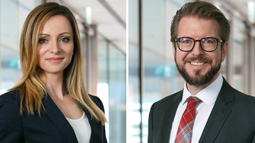 Radoncic-Olaynig-2019-marsh