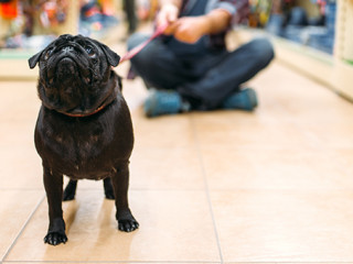 Hund-Herrchen-193786913-FO-Nomad-Soul