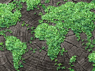 Pflanzen-Landkarte-Baumstamm-84309657-FO-freshidea