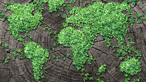 Pflanzen-Landkarte-Baumstamm-84309657-FO-freshidea