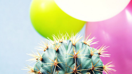 Kaktus-Luftballons-190749141-FO-isavira