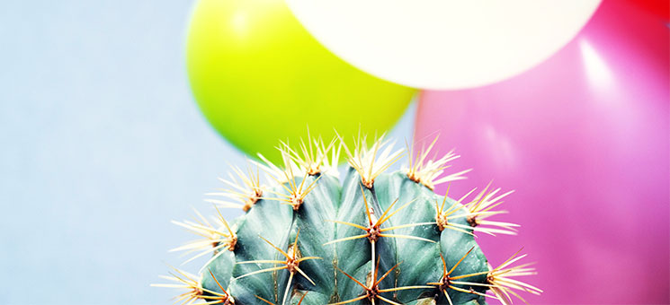Kaktus-Luftballons-190749141-FO-isavira