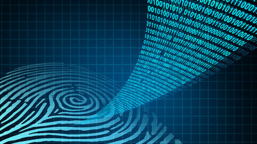 Cyber_171697913_FO_ freshidea