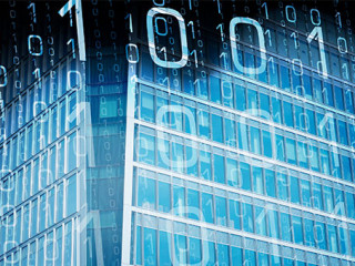 Binaer-Code-206374726-AS-Pablo-Lagarto