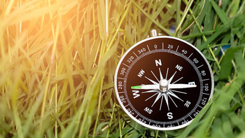 Kompass-in-Gras-274815868-AS-nudda