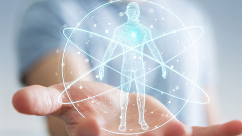 Hand-Mensch-191153225-AS-sdecoret