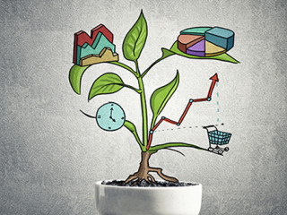 Topfpflanze-Diagramme-134777355-AS-adam121